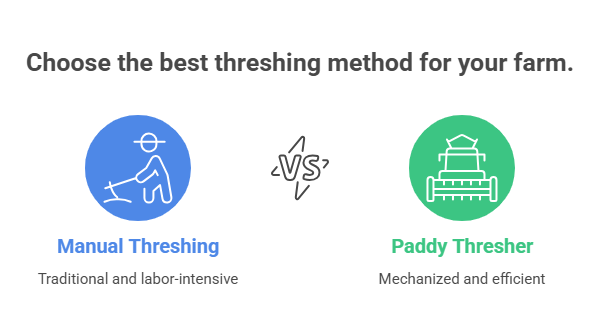 Benefits of Using a Paddy Thresher Over Manual Threshing