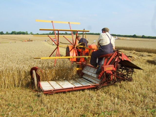 Paddy Thresher machines